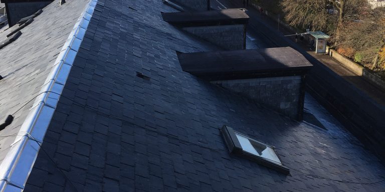 Should I Call A Roof Repairer When I See A Leak On My Roof Or Should I Go It Alone?