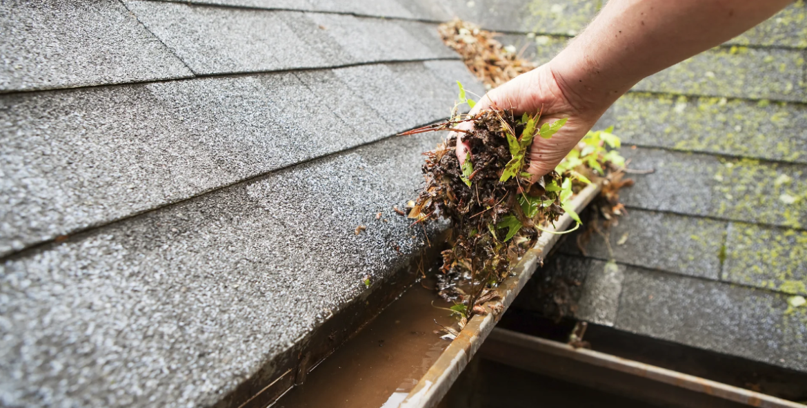 How to Safely and Effectively Clean Your Gutters